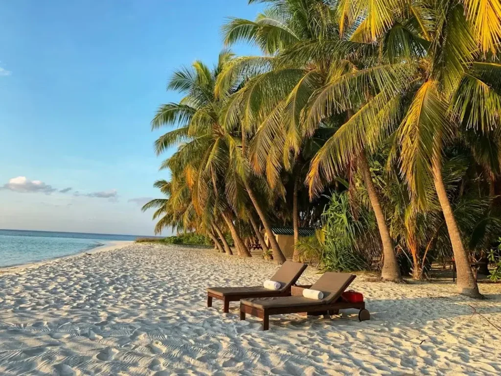 brown-wooden-bench-on-beach-during-daytime