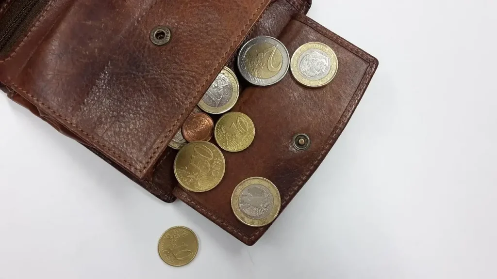 wallet-coins-money-euro
